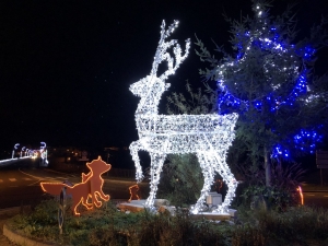 Aurec-sur-Loire : des illuminations de Noël à croquer
