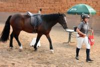 Yssingeaux : deux chevaux qualifiés en label loisirs pour la finale nationale à Equita&#039;Lyon