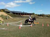 Yssingeaux : deux chevaux qualifiés en label loisirs pour la finale nationale à Equita&#039;Lyon