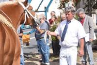 Les Estables : 23 chevaux lourds sélectionnés pour le Sommet de l&#039;élevage à Cournon