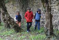 Saint-Maurice-de-Lignon : le parc de Maubourg se transforme en poulailler géant