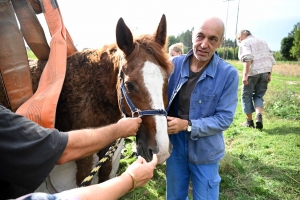 Le Mazet-Saint-Voy : un cheval sauvé après une chute dans une mare