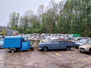 Insolite : 700 voitures anciennes en vente tout près de la Haute-Loire