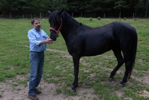 Tence : Serge Brusq valorise le cheval minorquin