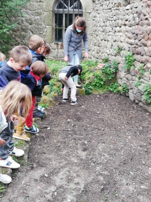 Saint-Didier-en-Velay : des jardiniers en herbe de l’école Jeanne-d’Arc