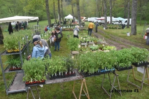 Rochepaule : le 13e marché aux plantes et de terroir dans un cadre champêtre le 21 mai