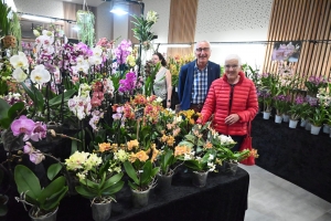 Une forêt d&#039;orchidées ce week-end au Puy-en-Velay