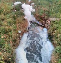 Sainte-Sigolène : de la mousse en abondance dans le ruisseau des Taillas