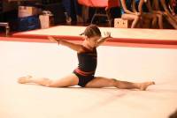 Gymnastique : quatre-vingts poussines en compétition à Choumouroux