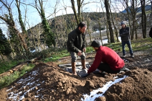 Cet hiver, 31 agriculteurs de la Haute-Loire vont planter plus de 6,5 km de haies