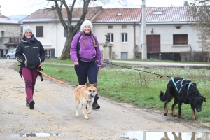 Beauzac : 50 marcheurs accompagnés de chiens à la première cani-rando