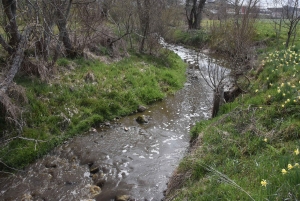 Tence : une unité de méthanisation fuit, une rivière polluée par du lisier