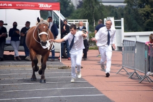 Yssingeaux : un premier concours officiel chargé avec 69 chevaux lourds