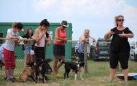 Club canin des sucs : une action auprès des jeunes en situation de handicap