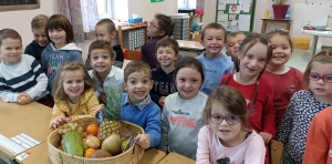 Les fruits du monde au programme des écoliers de Saint-Joseph à Montfaucon