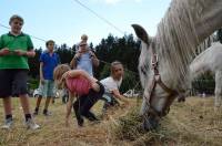 La Fête du cheval au grand galop au Chambon-sur-Lignon
