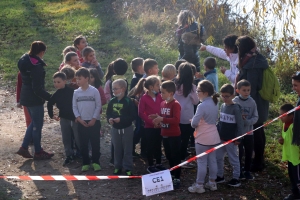 Bas-en-Basset : les écoliers de Louise-Michel ont couru pour les droits des enfants