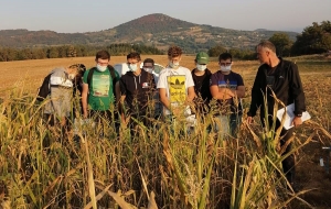 Yssingeaux : le lycée George-Sand forme les agriculteurs de demain