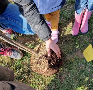 Tence : les écoliers de Saint-Martin plantent des arbres fruitiers dans une ferme
