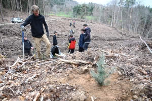 Yssingeaux : des collégiens de Jean-Monnet participent au reboisement d&#039;une forêt