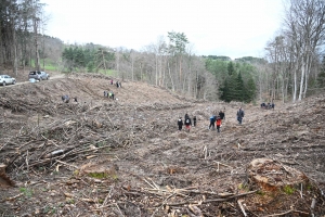 Yssingeaux : des collégiens de Jean-Monnet participent au reboisement d&#039;une forêt