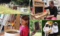 Yssingeaux : une conférence sur le miel, les abeilles et les reines jeudi prochain