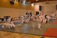 Chambon-sur-Lignon : les judokas en gala aux Bretchs