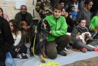 Chasse : Christophe Dursap et Igor champions de France du chien de pied à Dunières