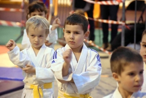Saint-Ferréol-d&#039;Auroure : près de 500 jeunes judokas au tournoi