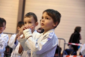 Saint-Ferréol-d&#039;Auroure : près de 500 jeunes judokas au tournoi