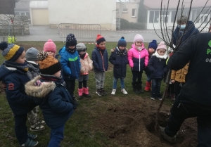 Les Villettes : six arbres fruitiers plantés à l&#039;école publique