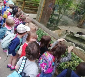 Sortie au zoo pour les classes maternelles de Retournac