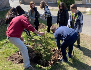 Dunières : les collégiens plantent deux arbres... et un slip