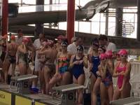Natation : 120 nageurs en meeting départemental à La Vague