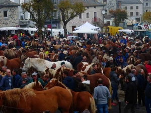 La foire aux chevaux 2020 annulée à Fay-sur-Lignon