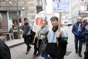 Monistrol-sur-Loire : une centaine de marcheurs pour défendre le climat