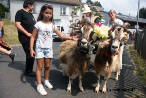 Saint-Front fête la chèvre du Massif Central dimanche