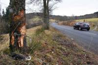 Yssingeaux : l&#039;Audi finit contre un arbre sur la route de Saint-Jeures