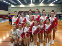 Gymnastique et aérobic : six podiums pour Yssingeaux par équipe