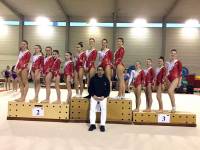 Gymnastique et aérobic : six podiums pour Yssingeaux par équipe
