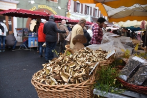 Saint-Bonnet-le-Froid : la Foire aux champignons 2020 abandonnée