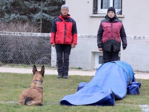 Une équipe de France de chien de sauvetage s&#039;entraîne à Yssingeaux (vidéo)