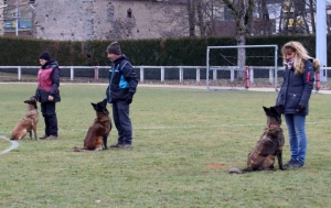 Une équipe de France de chien de sauvetage s&#039;entraîne à Yssingeaux (vidéo)