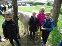 Grazac : les écoliers se sont familiarisés avec les poneys
