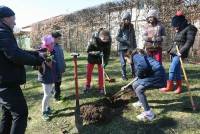 Monistrol-sur-Loire : les écoliers créent un arboretum le long du Piat