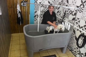 Yssingeaux : une salle de bain pour chien en libre-service