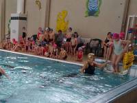 Grazac : les écoliers ont débuté le cycle natation