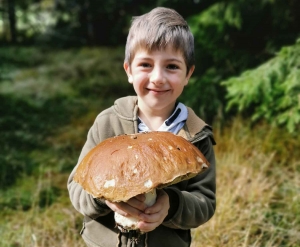Saint-Just-Malmont : son premier champignon est un cèpe géant