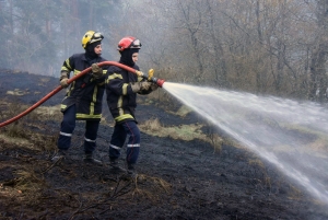 12 hectares de forêt détruits dans un incendie au sud de la Haute-Loire