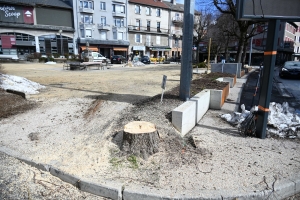Le Chambon-sur-Lignon : pourquoi 6 arbres ont été abattus sur la place du village